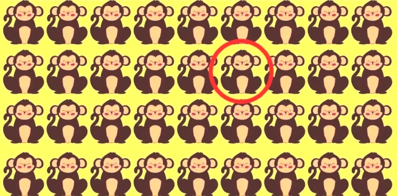 Deneyenlerin hepsi yanıldı! Resimdeki farklı maymunu sadece dahiler 7 saniyede buluyor - Resim : 5